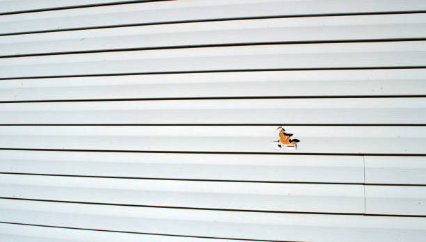 Best Aluminum Siding Installation  in Packanack Lake, NJ