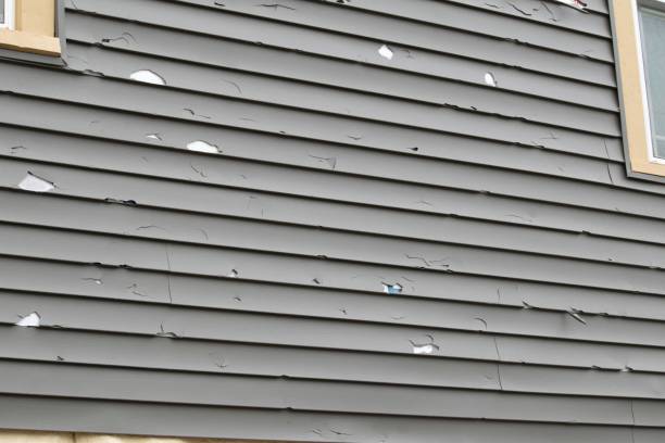 Best Residential Vinyl Siding Installation  in Packanack Lake, NJ