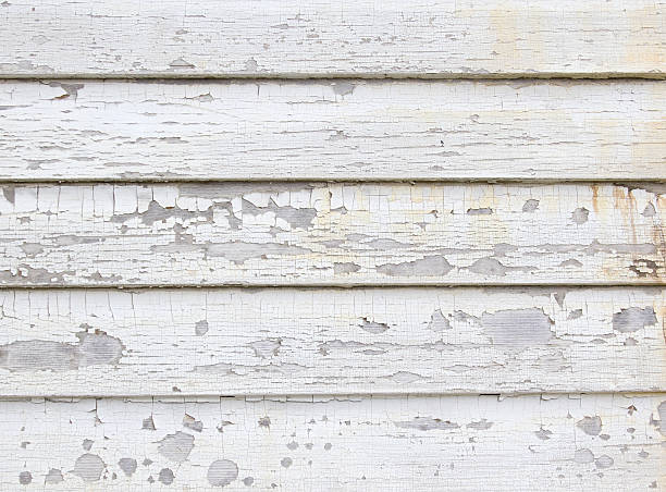 Best Storm Damage Siding Repair  in Packanack Lake, NJ